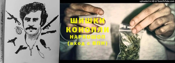МДПВ Козельск