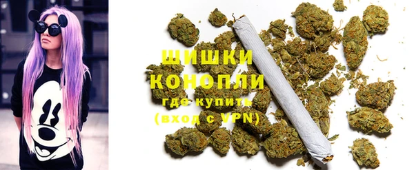 ПСИЛОЦИБИНОВЫЕ ГРИБЫ Киреевск