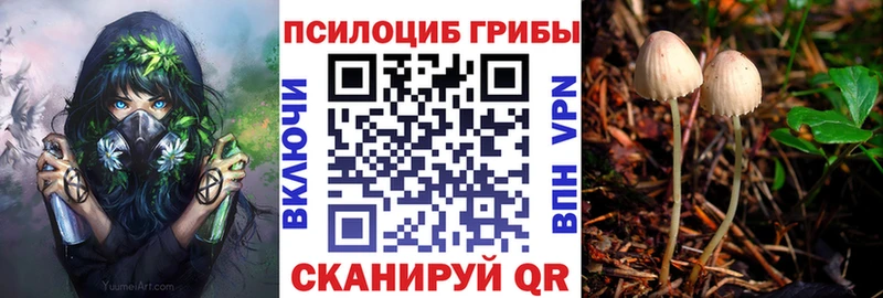 Галлюциногенные грибы мицелий  наркота  Красноперекопск 